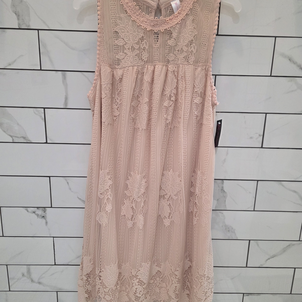 No Boundaries Blush Lace Formal Dress